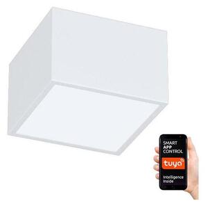 Immax NEO 07072L-15 - Φωτιστικό LED Dimmable CANTO LED/12W/230V λευκό