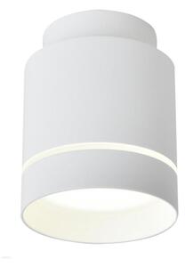 Φως οροφής LED TUBA LED/12W/230V