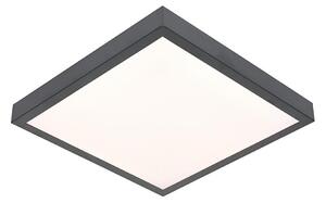 Φως οροφής LED VITALI LED/24W/230V