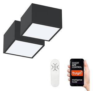 Immax Neo 07074L-15BD-Σετ 2x LED Φωτιστικό dimming CANTO 2xLED/12W/230V + RC