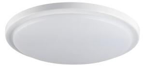 Kanlux 29161 - LED φωτιστικό οροφής μπάνιου ORTE LED/24W/230V IP54