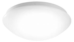 Leuchten Direkt 14243-16 - LED Φωτιστικό οροφής ANDREA LED/8W/230V