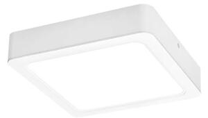 Rabalux 3176 - Φωτιστικό οροφής LED SHAUN LED/24W/230V 22 cm