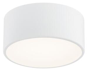 Argon 3885 - Φωτιστικό οροφής LED VICHY LED/13,5W/230V λευκό