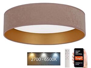 Brilagi - Φωτιστικό LED Dimmable VELVET SMART LED/24W/230V Wi-Fi Tuya + RC