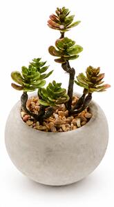 Τεχνητό Φυτό Σε Γλάστρα (6.5εκ.) Emerald Succulent-4 420007
