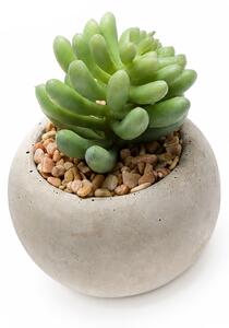 Τεχνητό Φυτό Σε Γλάστρα (6.5εκ.) Emerald Succulent-2 420007
