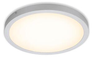 Briloner 7143-014 - Φωτιστικό οροφής LED FIRE LED/24,5W/230V 3000K