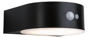 Paulmann 94570 - LED/5,5W IP44 Ηλιακή λάμπα τοίχου με αισθητήρα EILEEN 3,7V