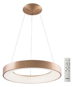 Azzardo AZ5013 - Led Dimmable κρεμαστό φωτιστικό οροφής SANTANA LED/80W/230V χρυσαφί + RC