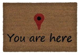 Πατάκι Εισόδου You Are Here LBTAH-AX69346 40x60cm Multi Andrea House