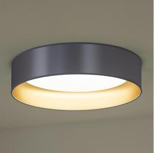 Duolla - Φωτιστικό οροφής LED ROLLER LED/24W/230V διάμετρος 45 cm ασημί/χρυσό