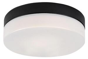 Rabalux 75025-Φωτιστικό οροφής μπάνιου LED GAELO LED/15W/230V διάμετρος 23 cm μαύρο