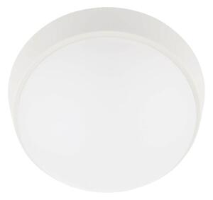 Φωτιστικό οροφής εξωτερικού χώρου LED LED/12W/230V IP65 λευκό