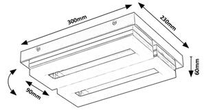 Rabalux 75020 - Φωτιστικό οροφής μπάνιου LED BLAS LED/24W/230V 4000K