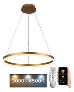 Brilagi - Led Dimmable κρεμαστό φωτιστικό οροφής CIRCLE LED/42W/230V 3000-6500K + RC