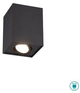 Σποτ Trio Lighting Biscuit 613000132 Μαύρο