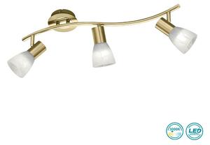 Σποτ Trio Lighting Levisto 871010308 Χρυσό