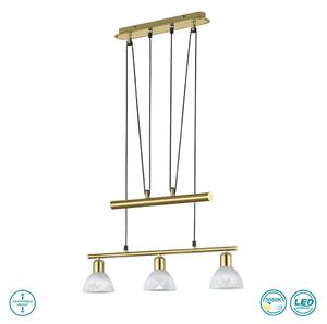 Κρεμαστό Φωτιστικό Trio Lighting Levisto 371010308 Χρυσό