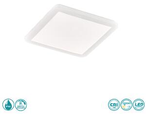 Φωτιστικό Οροφής Στεγανό RL Lighting Camillus R62931801 Λευκό