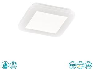 Φωτιστικό Οροφής Στεγανό RL Lighting Camillus R62931001 Λευκό