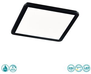 Φωτιστικό Οροφής Στεγανό RL Lighting Camillus R62932032 Μαύρο Ματ