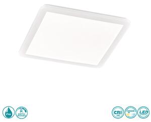 Φωτιστικό Οροφής Στεγανό RL Lighting Camillus R62932001 Λευκό