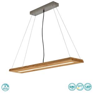 Φωτιστικό Κρεμαστό Ράγα Trio Lighting Brad 323710130