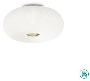 Φωτιστικό Οροφής Ideal Lux Arizona 214511