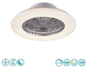 Ανεμιστήρας Οροφής RL Lighting Stralsund R62522187 Γκρι με Φως