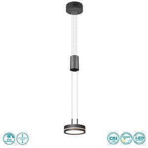 Φωτιστικό Κρεμαστό Trio Lighting Franklin 326510142 Ανθρακί