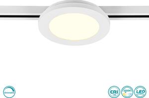 Φωτιστικό Οροφής Ράγας DUOline Trio Lighting Camillus 76921031 Λευκό Ματ