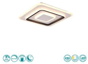 Φωτιστικό Οροφής RL Lighting Jora R64293131 Λευκό Ματ