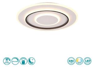 Φωτιστικό Οροφής RL Lighting Jora R64303931 Λευκό Ματ