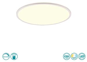 Φωτιστικό Οροφής RL Lighting Scott R64381031 Λευκό Ματ