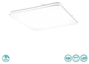 Φωτιστικό Οροφής RL Lighting Blanca R64144201 Λευκό (4000K)