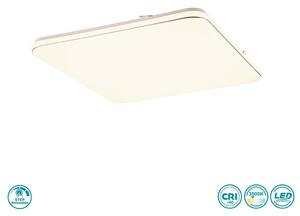 Φωτιστικό Οροφής RL Lighting Blanca R64141201 Λευκό