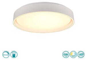 Φωτιστικό Οροφής RL Lighting Felis R64391031 Λευκό Ματ