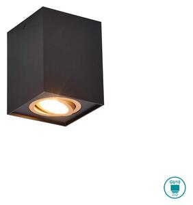 Σποτ Trio Lighting Biscuit 613000180 Μαύρο Ματ με Χρυσό