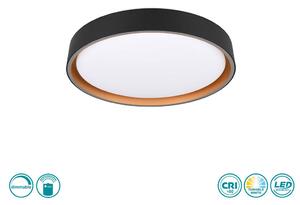 Φωτιστικό Οροφής RL Lighting Felis R64391080 Μαύρο Ματ