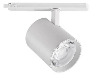 Σποτ Φωτιστικό Ράγας COB Led 30W 230V 3000K Lumen 23-430000 Λευκό