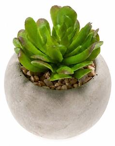 Τεχνητό Φυτό Σε Γλάστρα (6.5εκ.) Emerald Succulent-6 420007