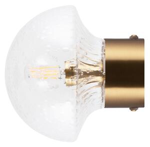 Globen Lighting - Fungo 16 Φωτιστικό Τοίχου/Φωτιστικό οροφής IP44 Διαφανές/Βουρτσισμένο Ορείχαλκος