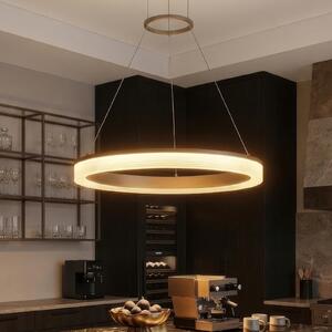 Searchlight Κρεμαστό φωτιστικό LED Lumen Rings 1-fl. άμμος, CCT, σίδερο, με δυνατότητα, ρυθμιζόμενος, Μπεζ, Σαλόνι / τραπεζαρία, Μέταλλο, σύγχρονο