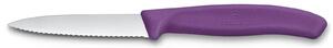 Μαχαίρι Γενικής Χρήσης Victorinox Swiss Classic με μήκος λεπίδας 8cm - Purple
