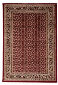 Κλασικό Χαλί Teheran 3924 RED Royal Carpet - 200 x 250 cm