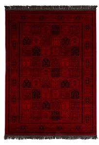 Κλασικό χαλί Afgan 8129H D.RED Royal Carpet - 200 x 250 cm