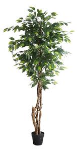 FICUS TREE NP5208_150 ΥΨΟΣ 150cm NewPlan