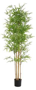 BAMBOO NP6321_180_22 Ύψος 180cm