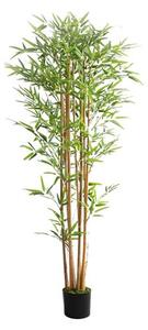 BAMBOO NP0075_180 Ύψος 180cm